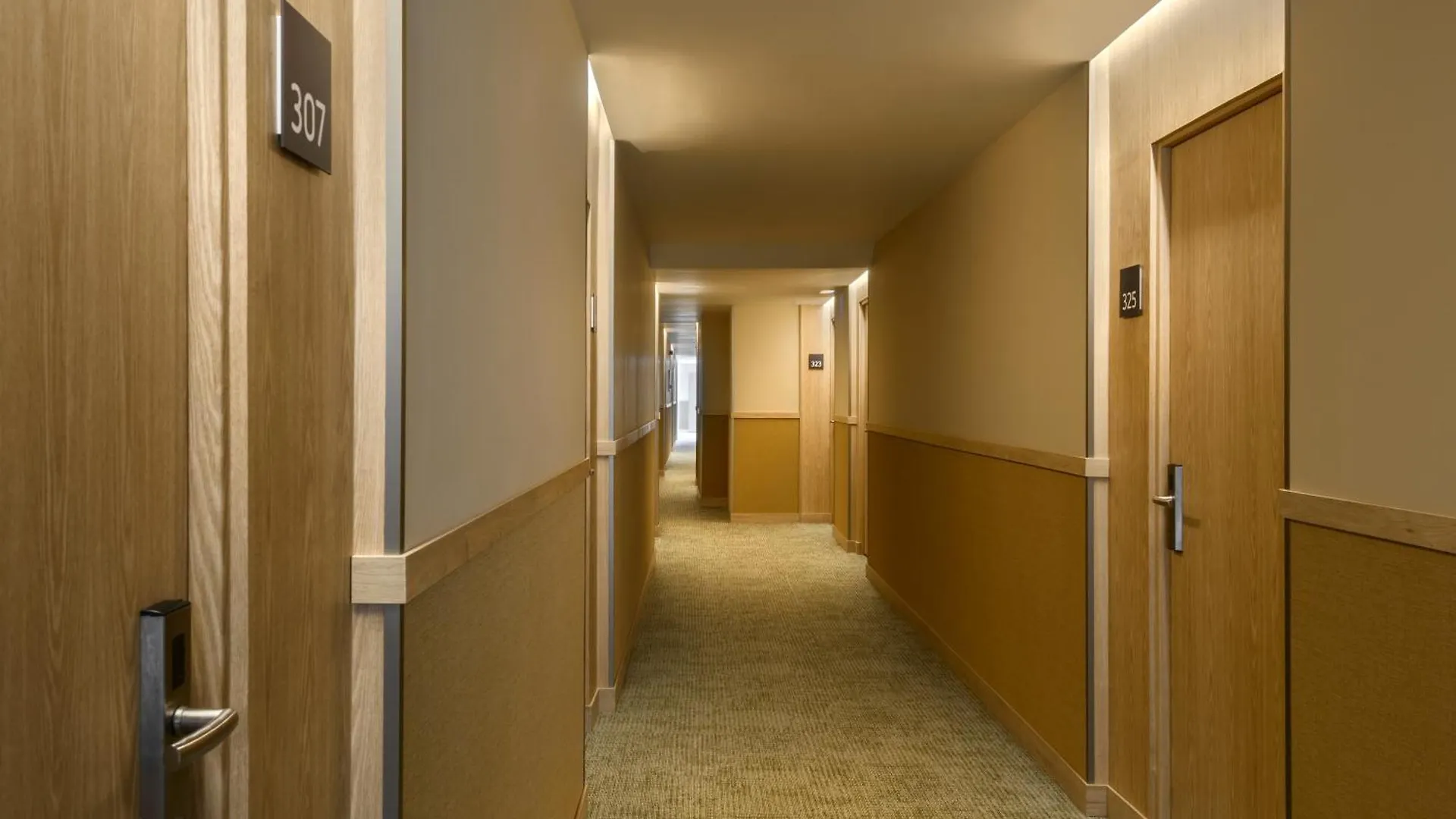 Barcelo Illetas Albatros - Adults Only Hotel Spain