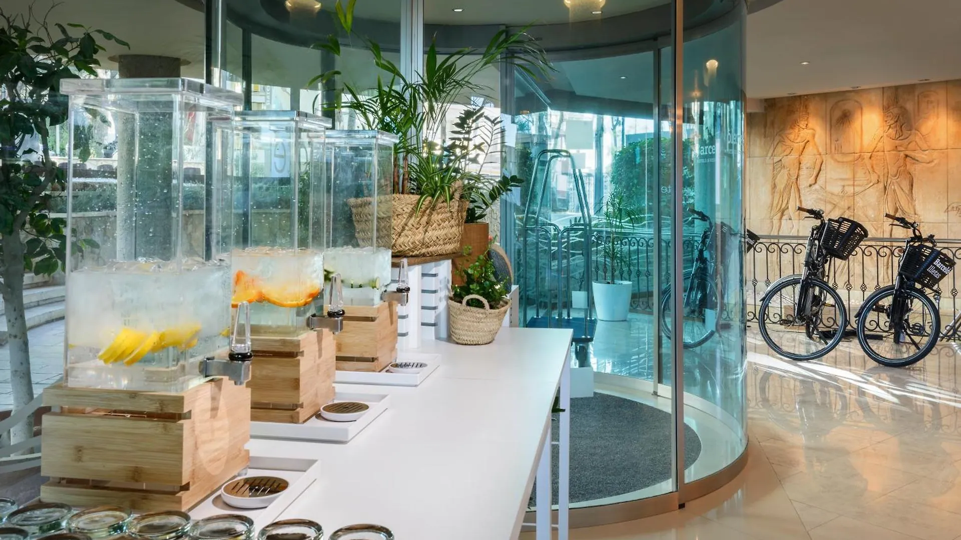 Barcelo Illetas Albatros - Adults Only Hotel